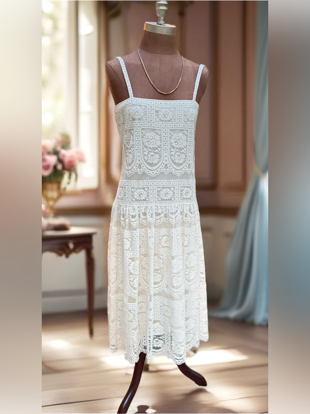 Vintage Gatsby Edwardian Party Dress Amazing Lace Drop Waist